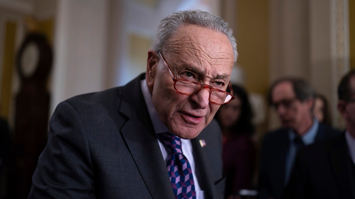 Sen. Chuck Schumer, D-N.Y., talking to media