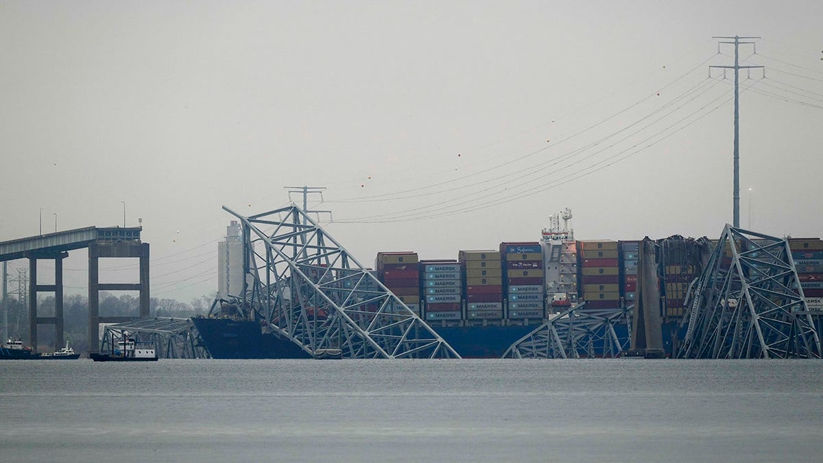 Francis Scott Key bridge collapse aftermath