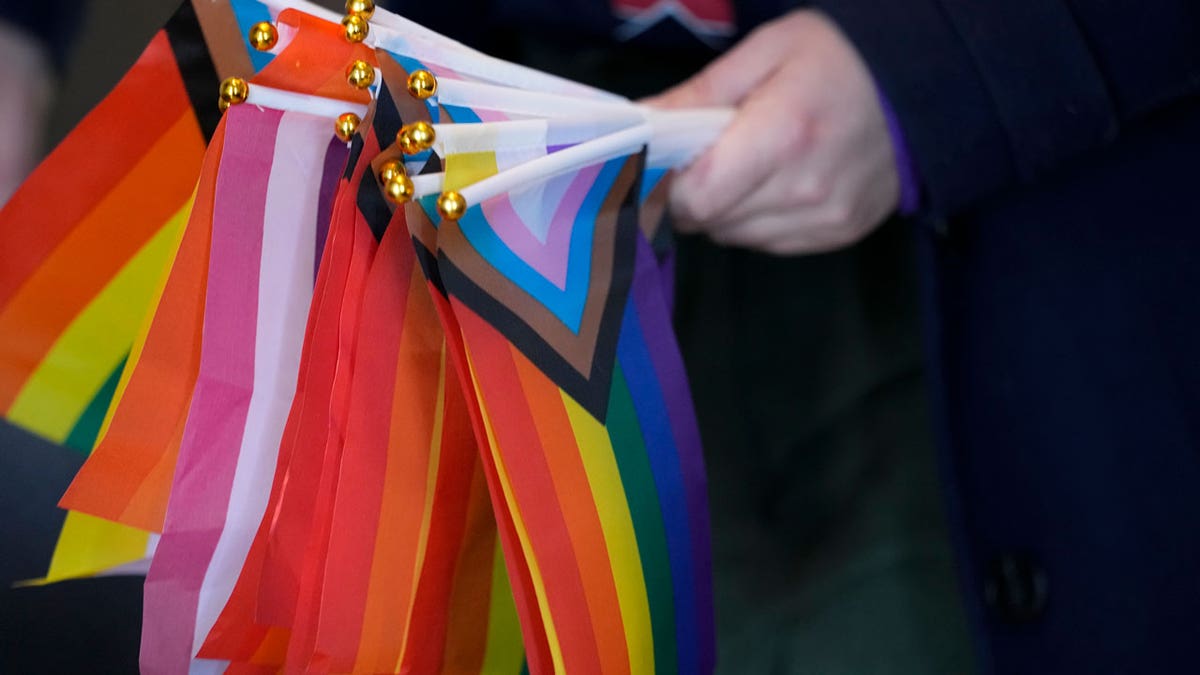 Pride flags are held at the Tennessee Capitol